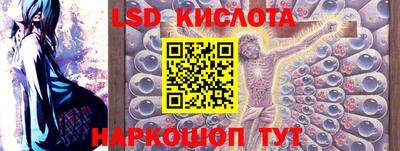 дмт Гусев