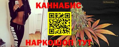 дмт Гусев
